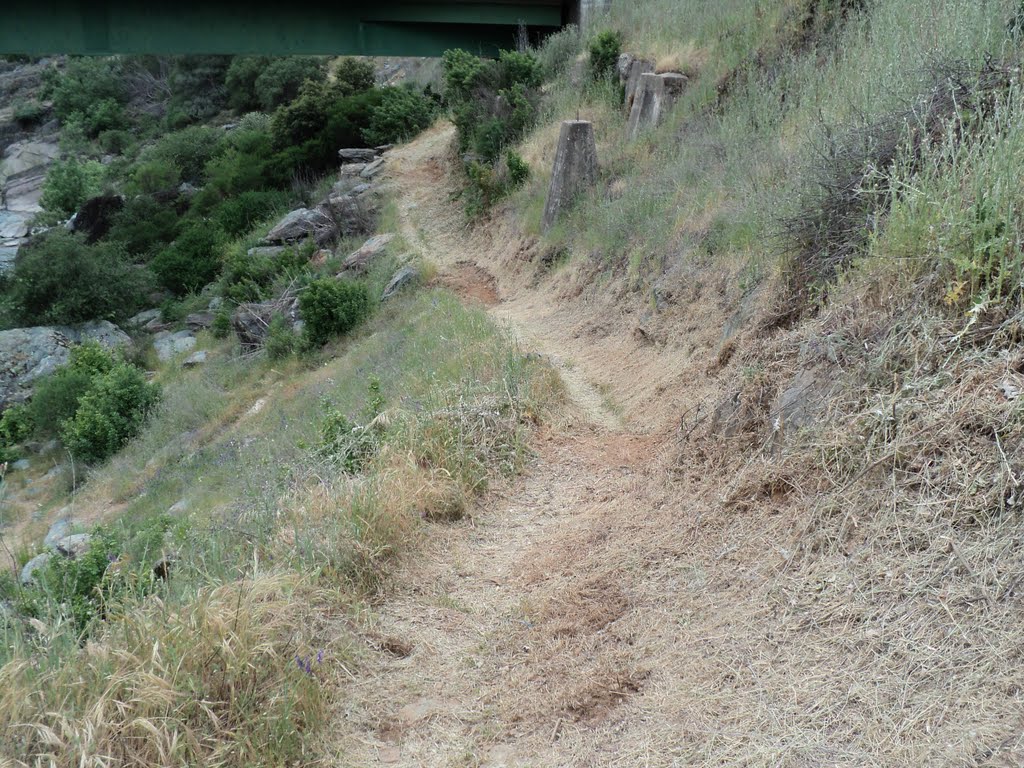 Underpass Trail, Highway 49 Bridge, Auburn State Recreation Area, Placer County, California by Robert H. Sydnor