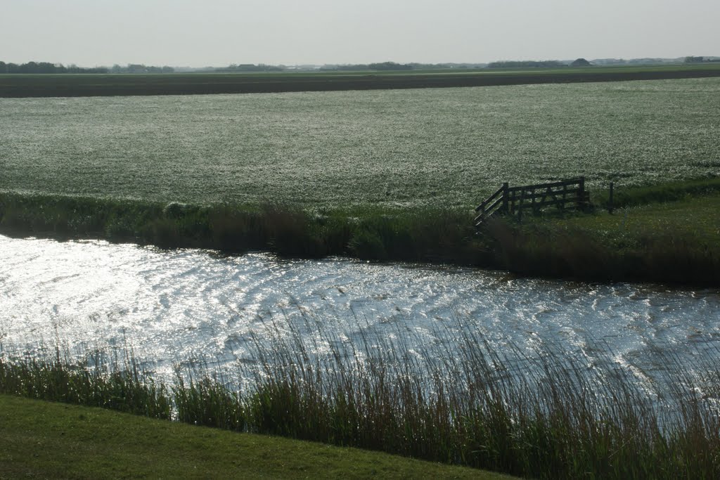 Licht wind en water by frank roosenbrand