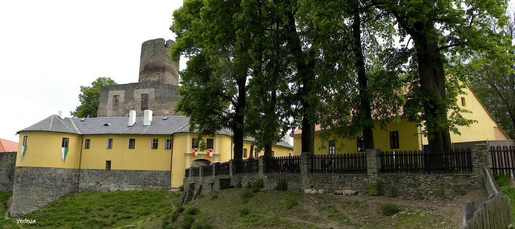 SVOJANOV - středověký hrad (nyní v rekonstrukci) / medieval castle (now under reconstruction) by votoja - CZ