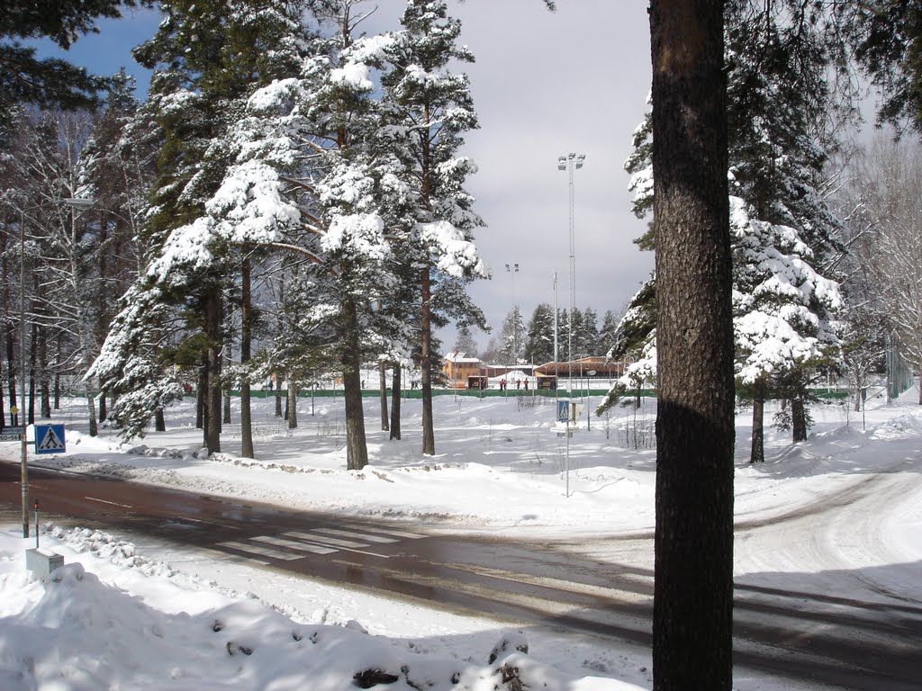 Winter in Sweden by Magdalena Wiklund