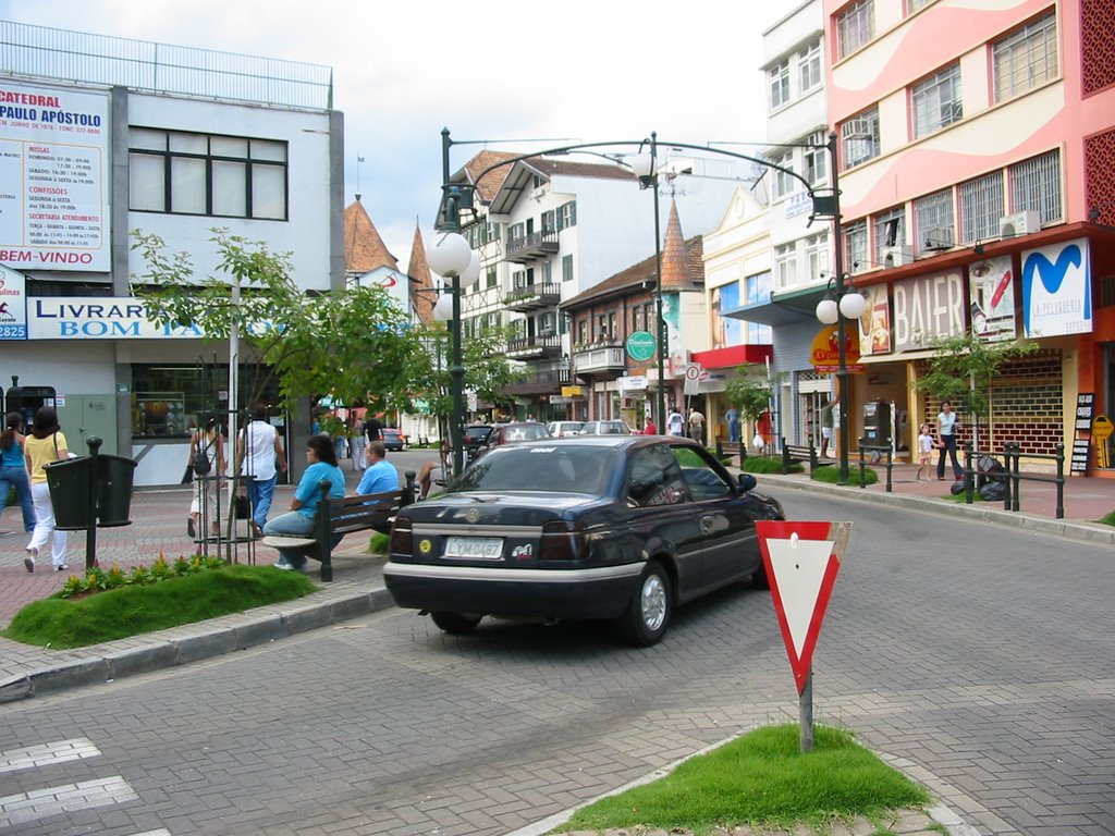 Downtown Blumenau by ElvisDorow