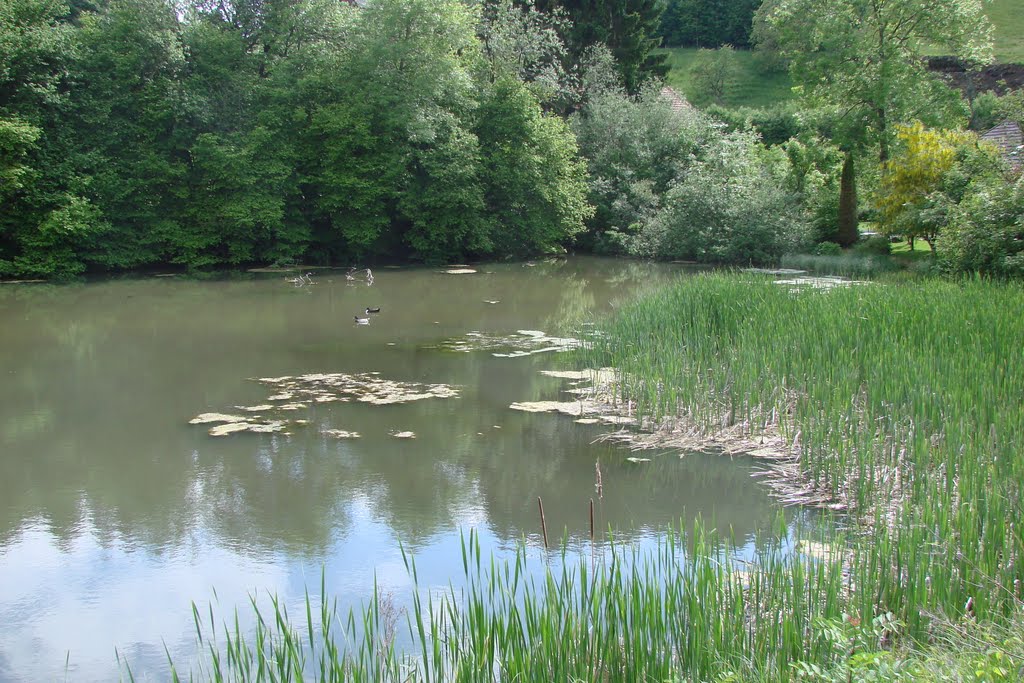 Weiher Burgistein by HB9HVK