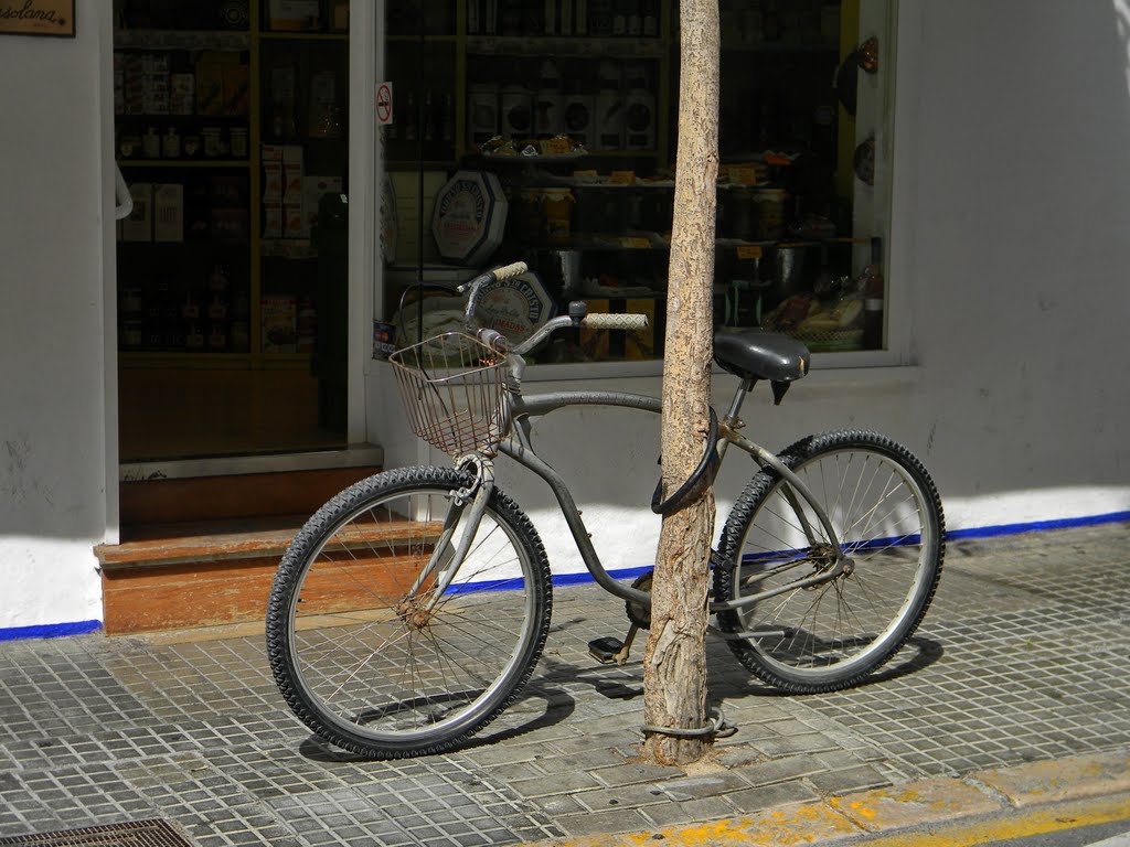 Bicicleta by Vidal's