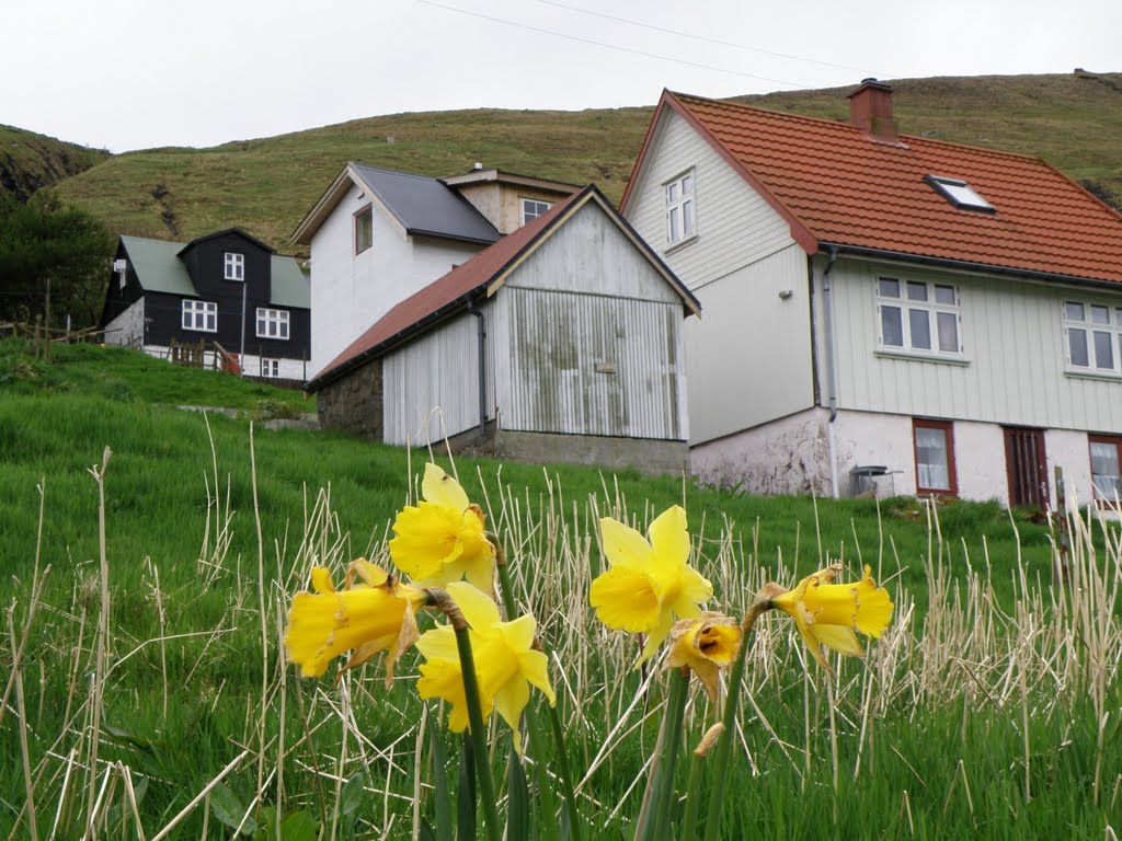 Húsar on Kalsoy, Faroe Islands by Eileen Sandá