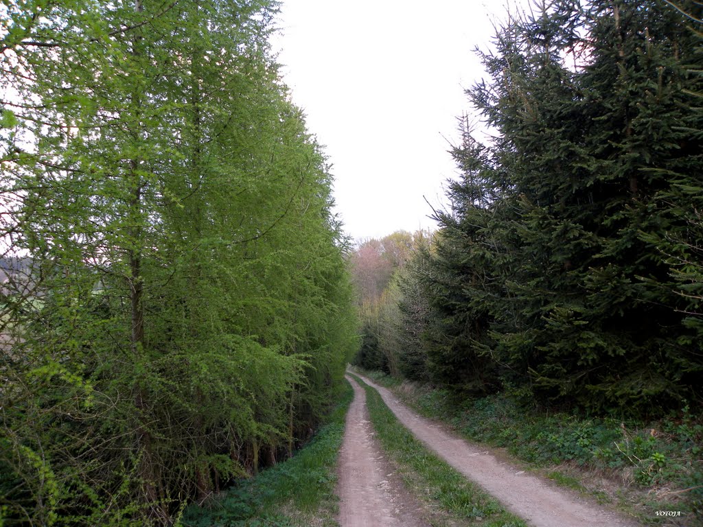 SOPOTNICE - cesta na samotu "Pod horou" / journey to solitude "Under the Mountain" by votoja - CZ