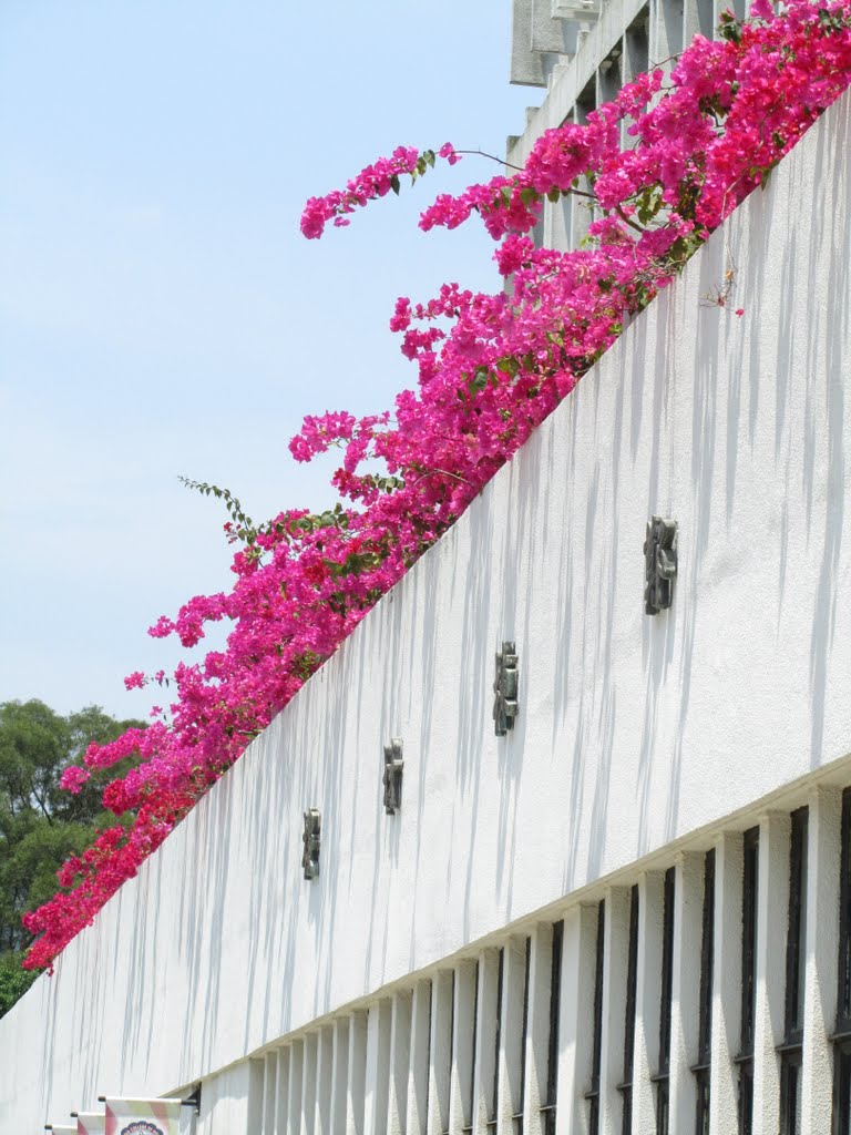 香港中文大學聯合書院 TC Cheng Building, United College, CUHK by Peter Mok