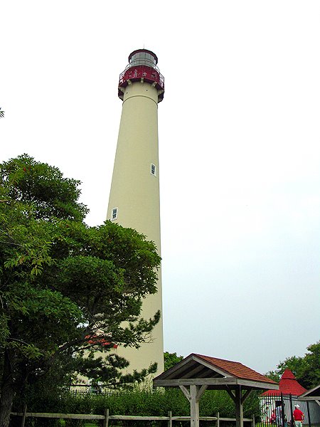 Cape May, N. J. lighthouse by jsd'angelo