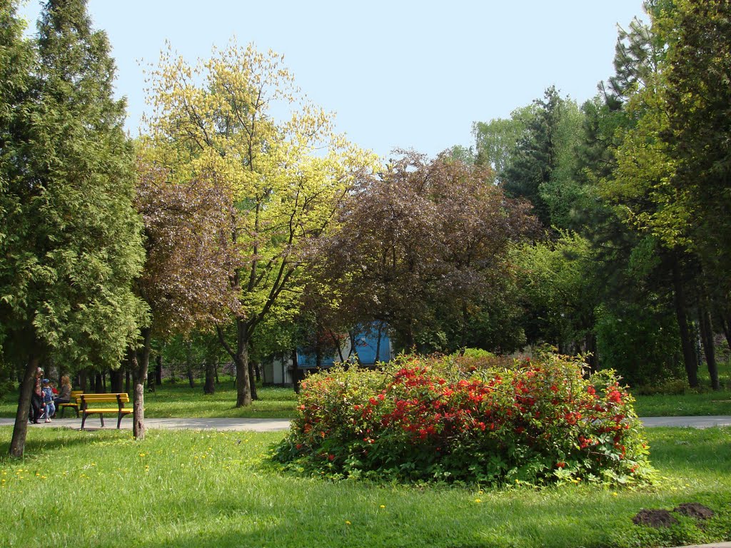 Brașov, Parcul Tractorul by Novichok