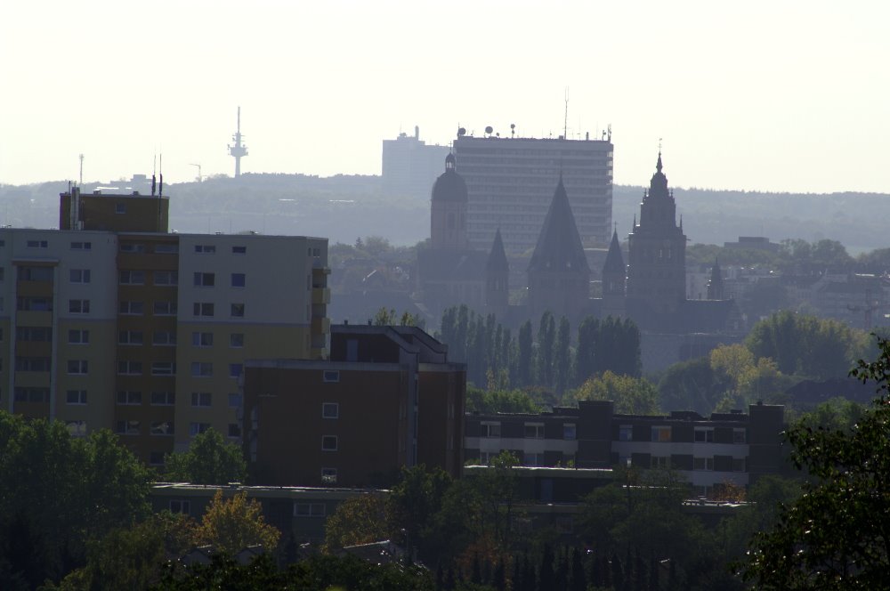 Stadtlandschaft Mainz 1 by © DerSIGGY