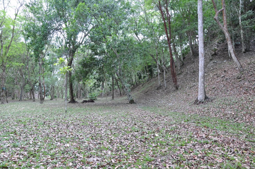 BELIZE: EL PILAR: Plaza Copal facing Plaza Duende by Douglas W. Reynolds, Jr.