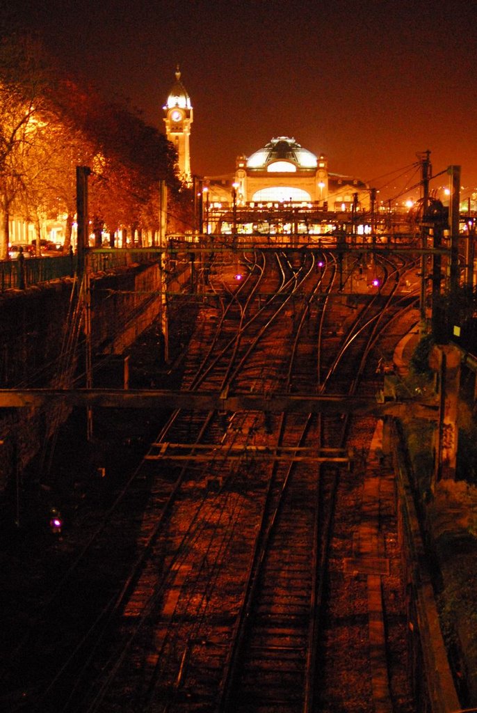 La gare de nuit by Michel GIGUET