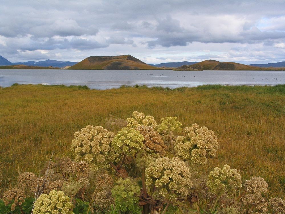 Myvatn lake by aclorega