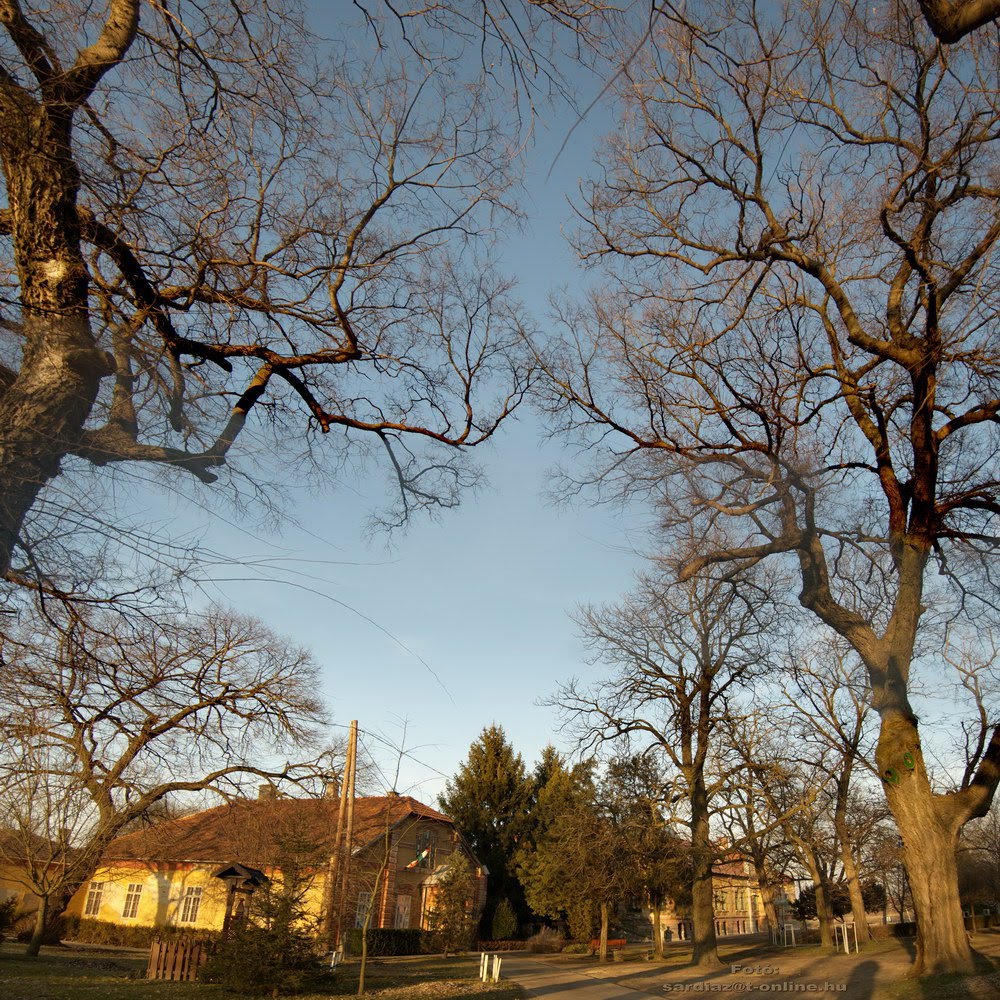 A Sztankovánszky kastély parkja - Kajdacs DSC_4516-4518 Panorama-1 by Sárdi A. Zoltán ♥Budapest♥