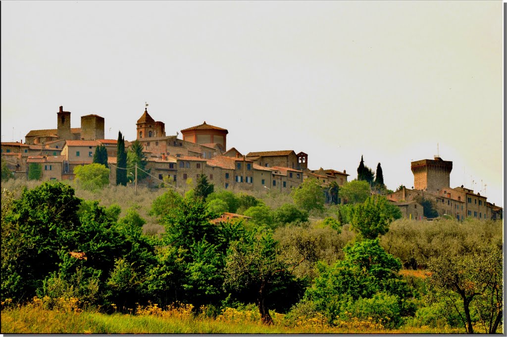 Lucignano Panorama by baronyuri.