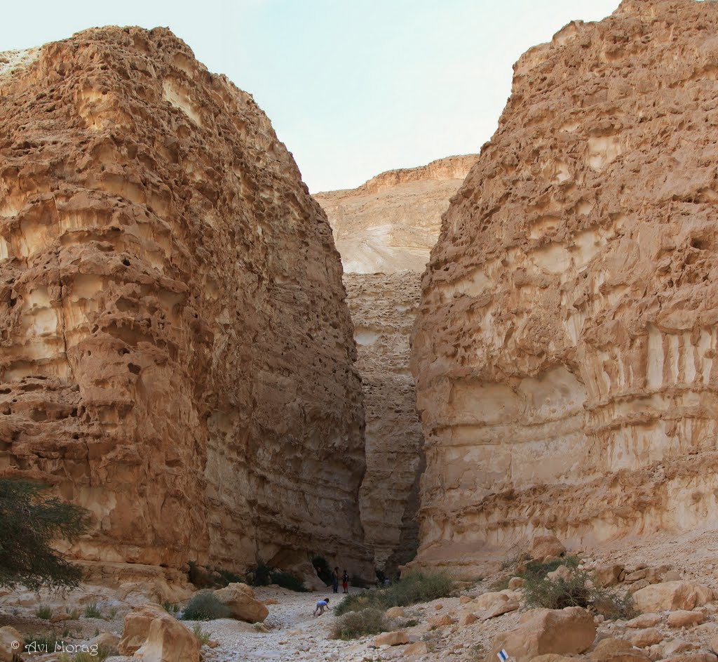 Barak Canyon - Arava, Israel by Avi Morag