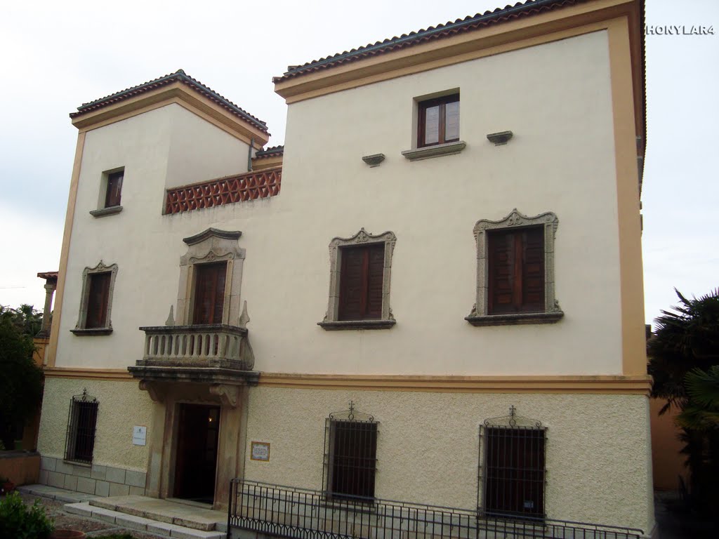 MUSEO DE HISTORIA Y CULTURA CASA PEDRILLA CACERES españa * by honylar4