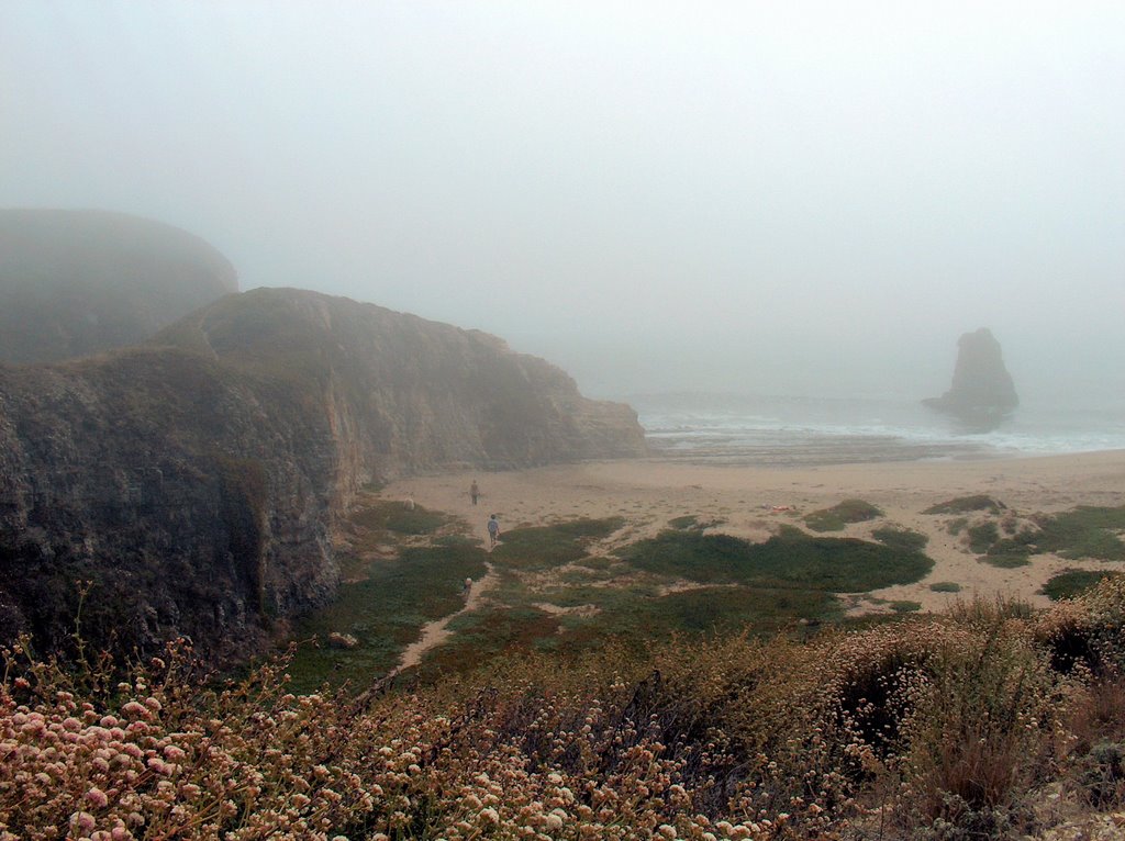 Solitude - Davenport Beach by mistahbonzai