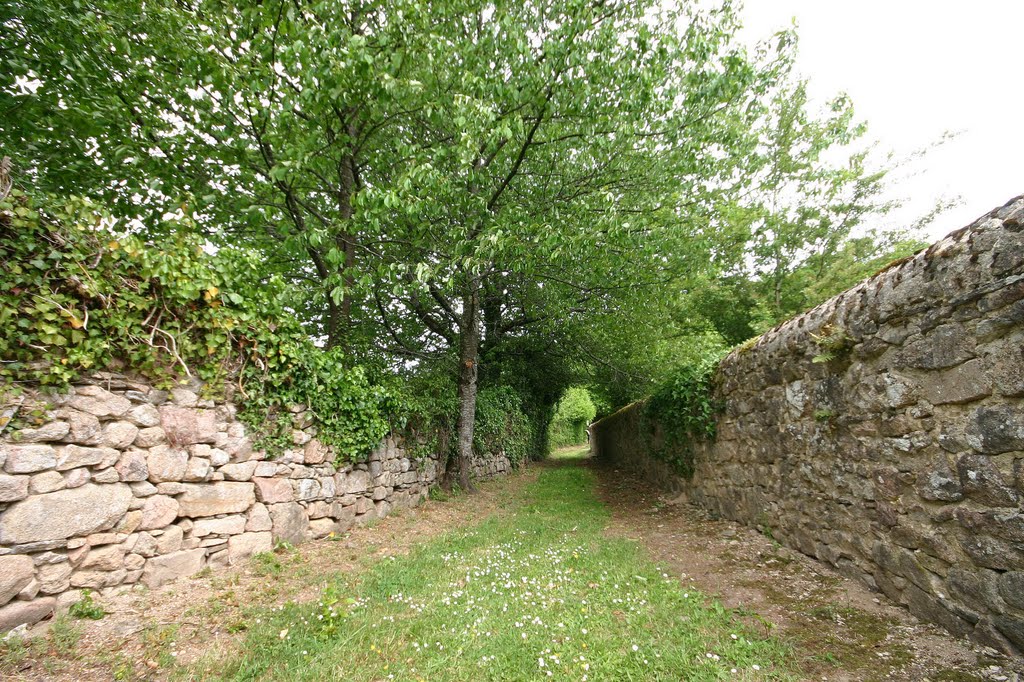 Saint Hilaire les places, le chemin creux by Roland Gardin