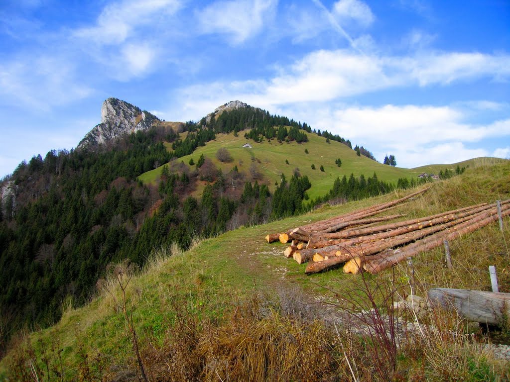 Près du Col des Nantets, vue sur la Roche Murraz 26.11.2006 by Jean-Luc.