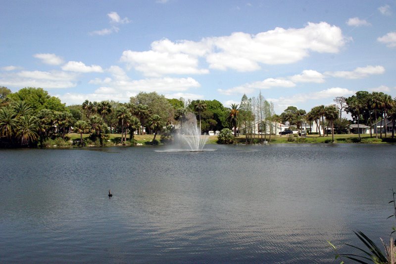 Lake Orange, New Port Richey, Florida by David Escobar