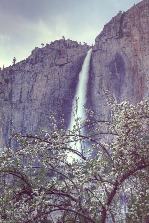 Falls Portrait by Vincent James