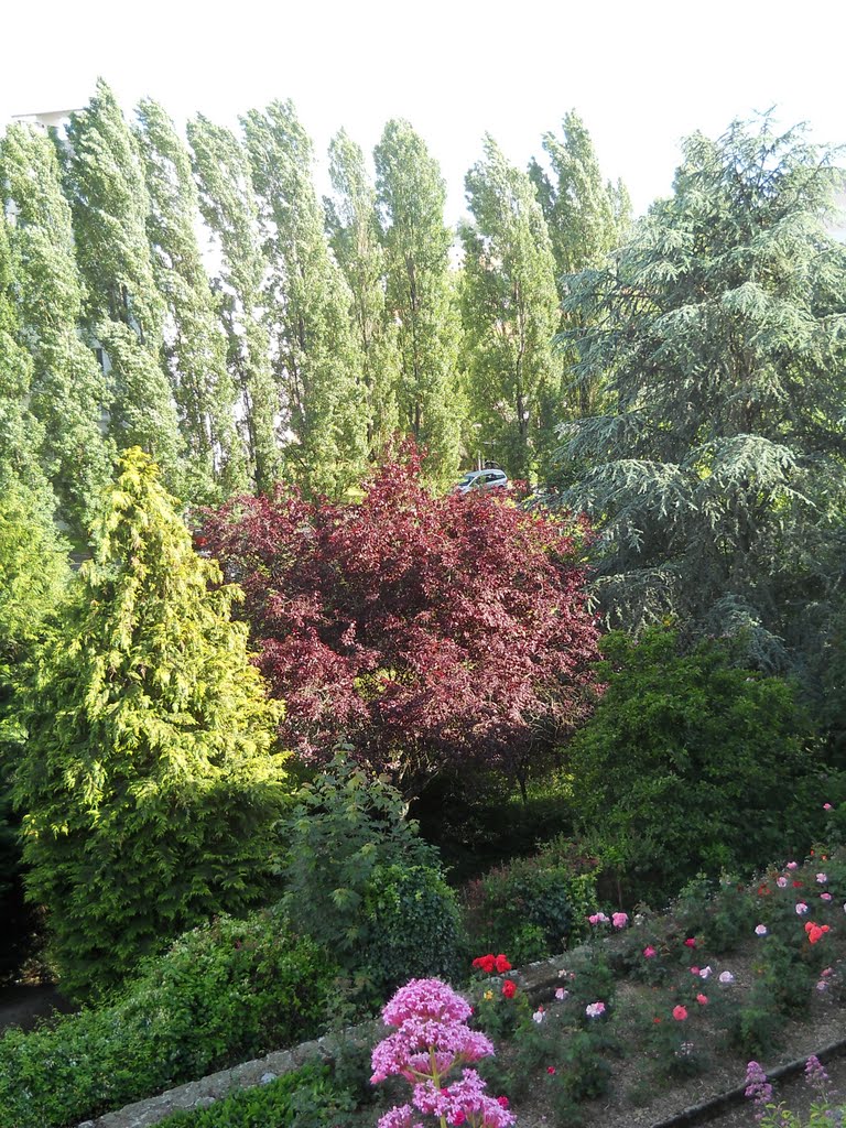 Jardin du logis du Roc, La Roche-sur-Yon by William Chevillon