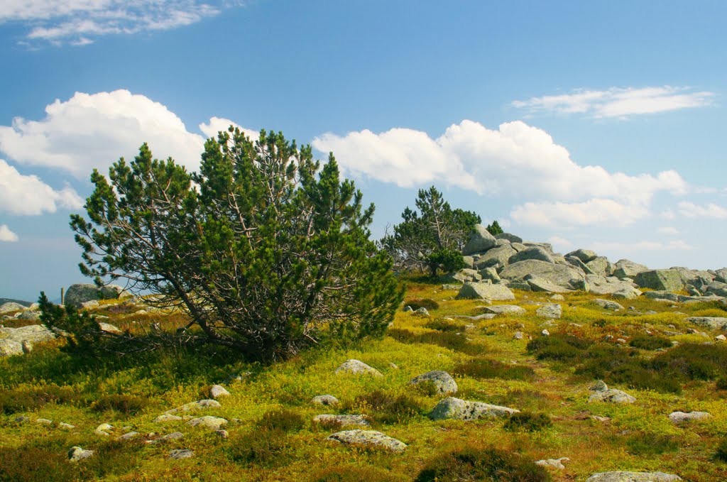 Cevennenlandschaft by Thomas Ahlmeyer