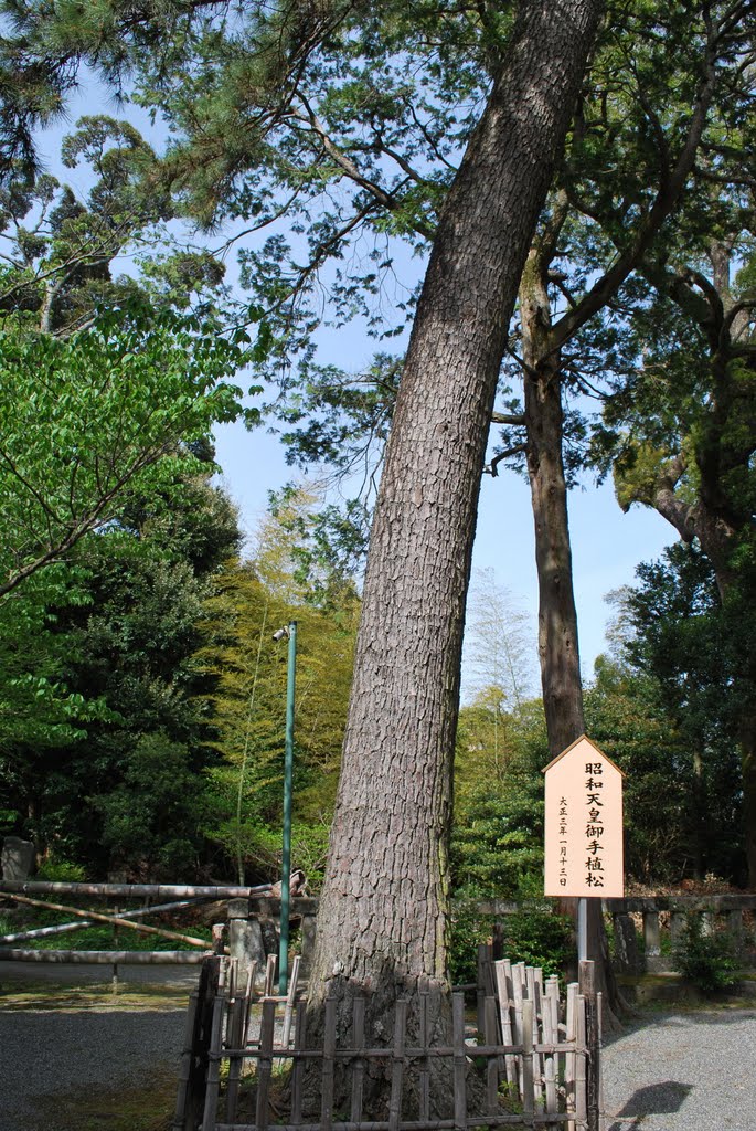 Izusan Shrine　伊豆山神社 by KBB