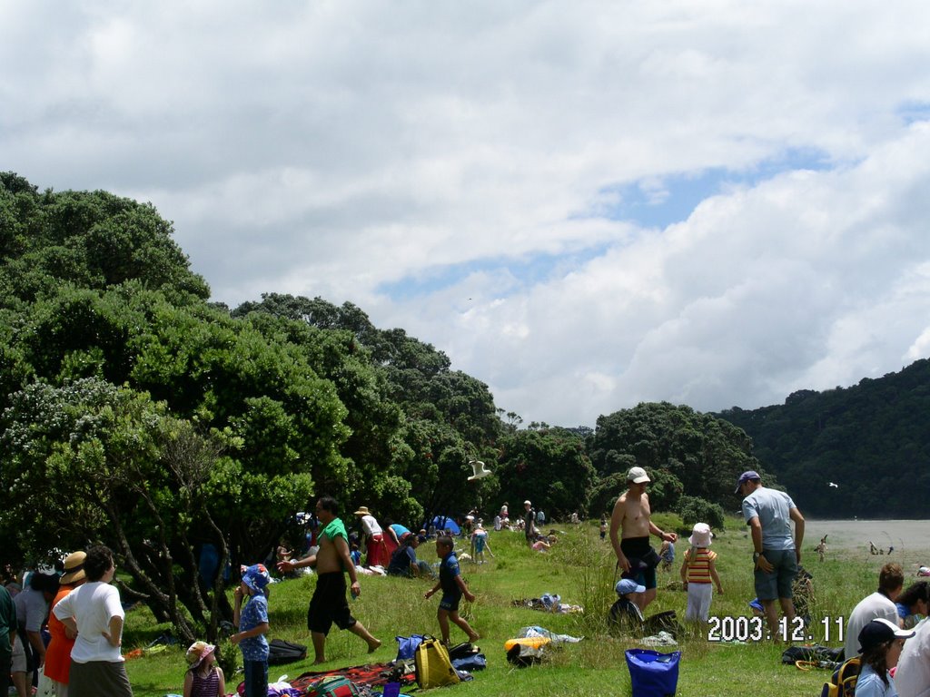 2000 Beach Rd, Long Bay, Auckland 0792, New Zealand by Kun Yu