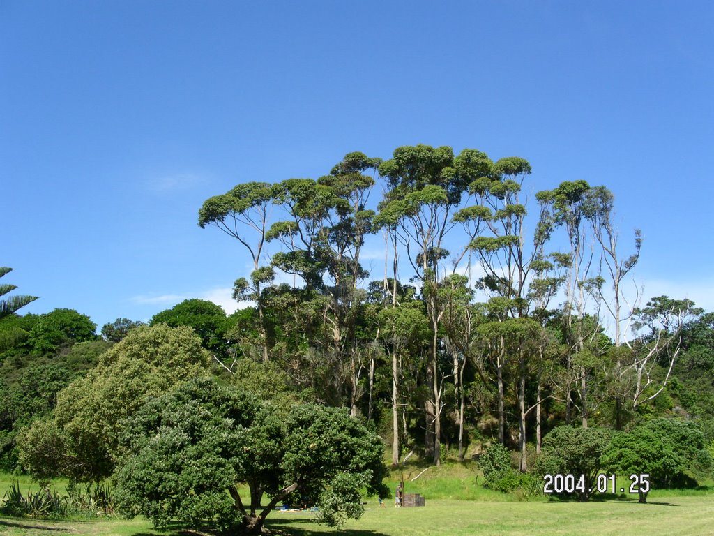 2000 Beach Rd, Long Bay, Auckland 0792, New Zealand by Kun Yu