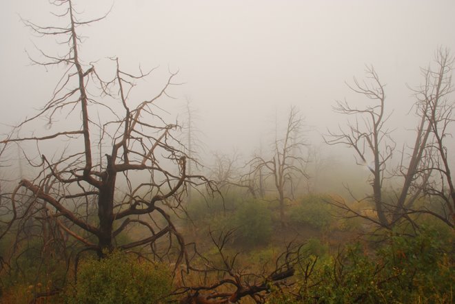 Mesa Verde Fog by WildernessShots.com