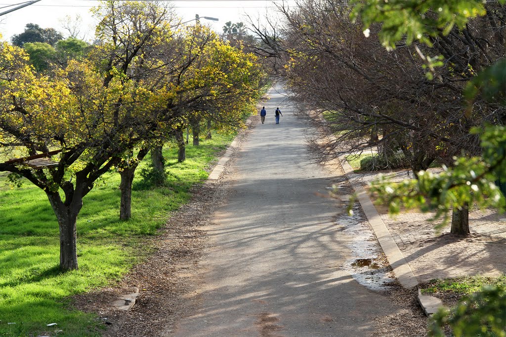 Sarel Ave Mountain View by Daan Prinsloo