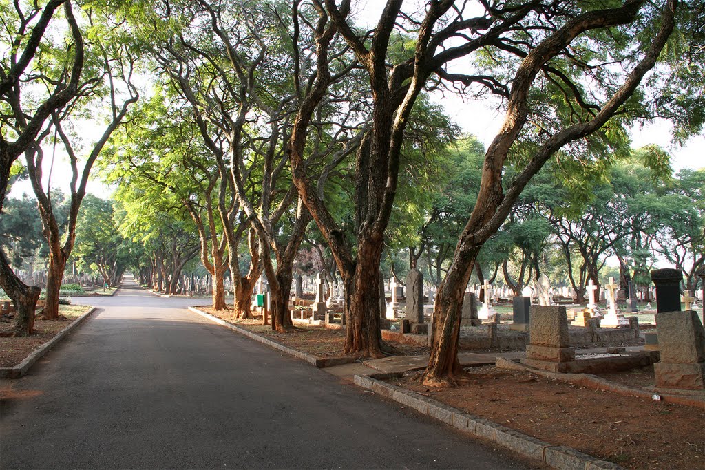 Road in Rebecca Street Cemetery by Daan Prinsloo