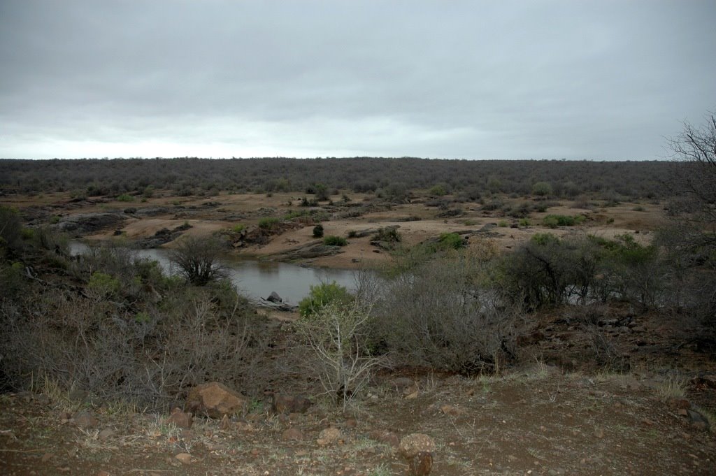 Olifants River, Kruger National Park, ZA by José Pedro Fernandes