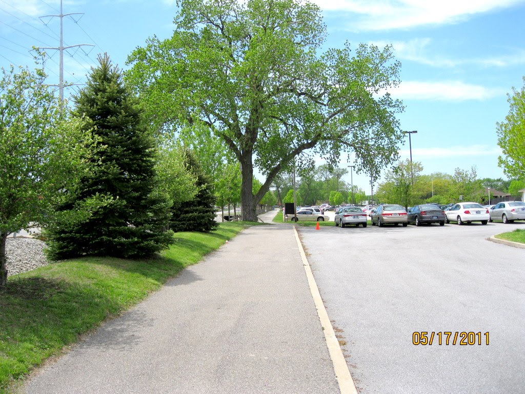 Along Schoon Ditch west of Columbia Avenue by Huffmun