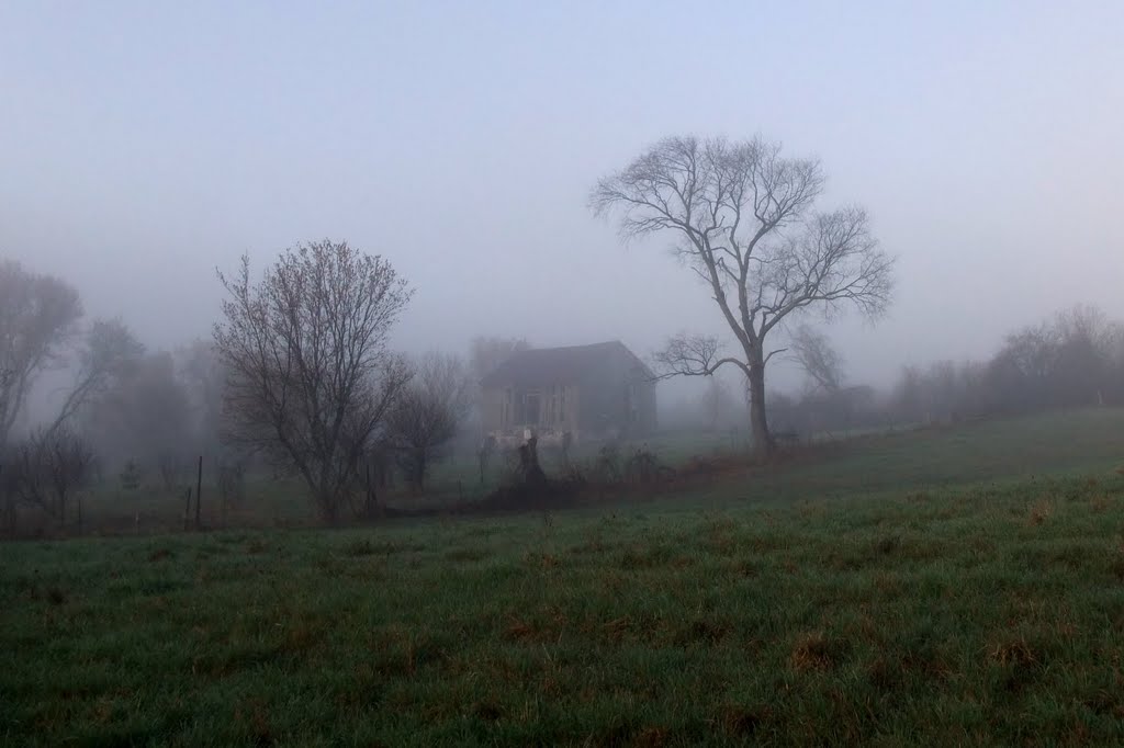 Abandoned barn in the early morning mist by Alla L.