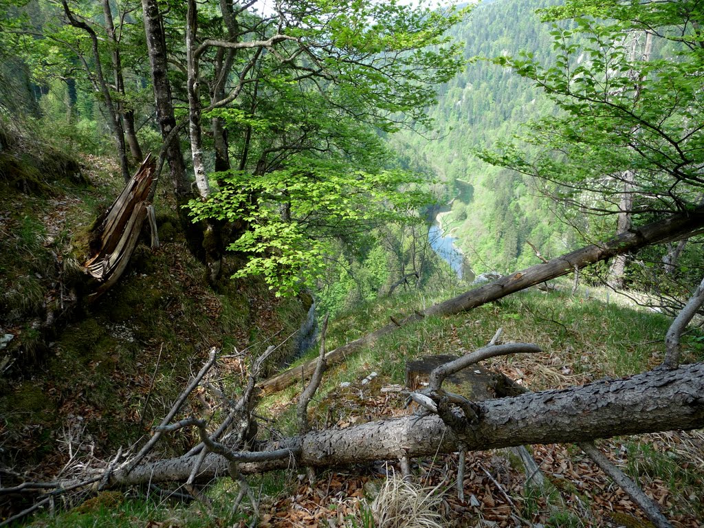 Côtes du Doubs, Suisse by Lièvre Georges