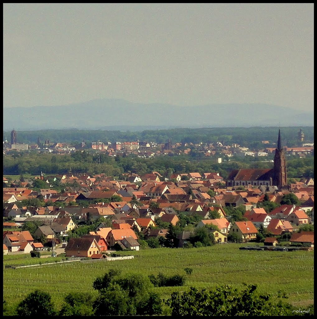 Scherwiller et Selestat au fond (Alsace), France by Rol/Photo/Alsace