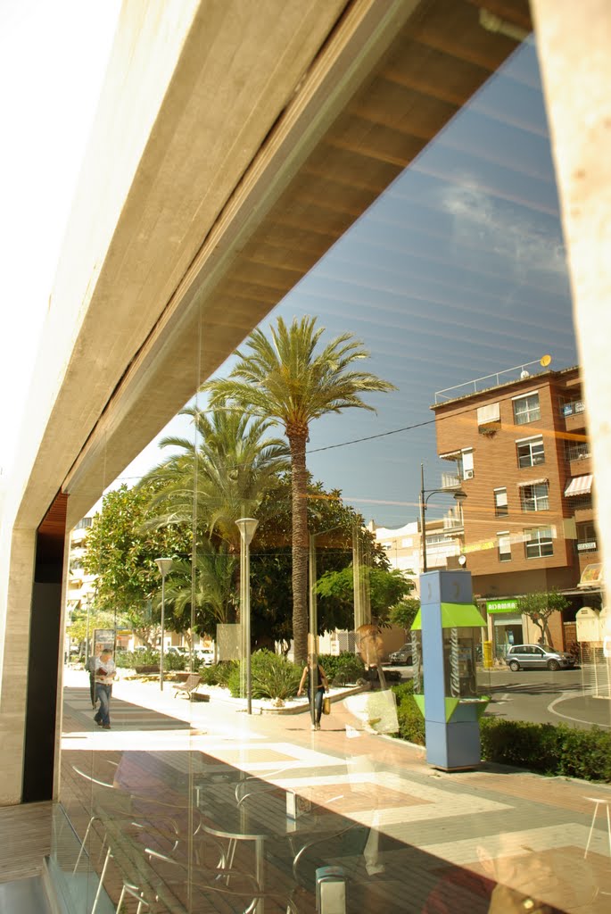 ® EL CAMPELLO R.U.S TRAM REFLEJOS by RICHTEA