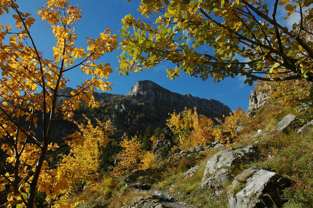 Autunno nei pressi della Gola della Chiusetta by Luca78