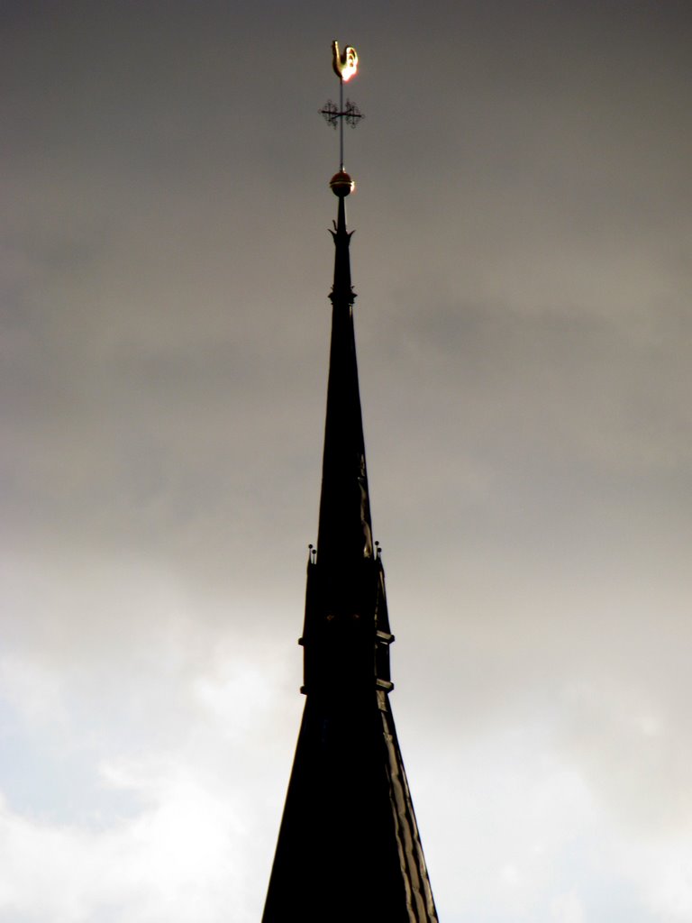 Turm der Marienkirche by tweety3d