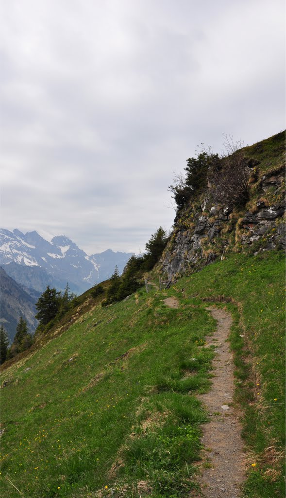 Auf der Fürenalp (© Buelipix) by Buelipix