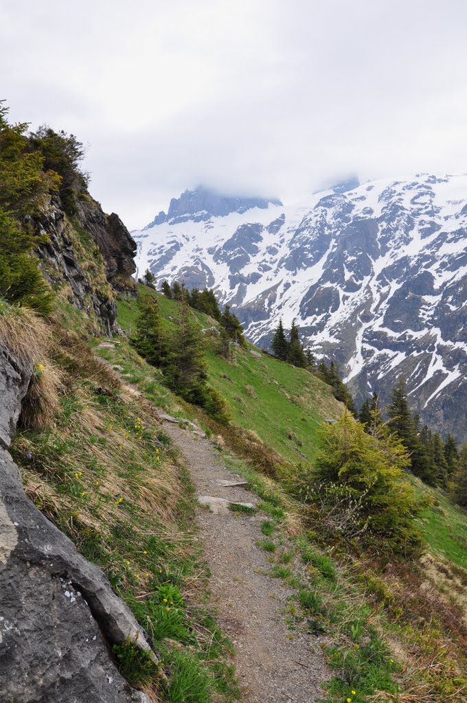 Auf der Fürenalp (© Buelipix) by Buelipix