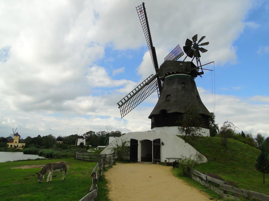 Windmühlen und Esel gab es schon im Märchen by Norbert Hähle