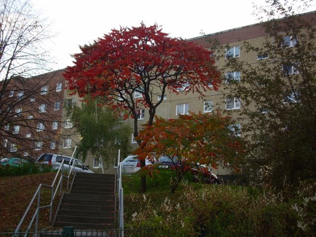 Jena-Winzerla, In der A.Siemsenstr. by Wendelin