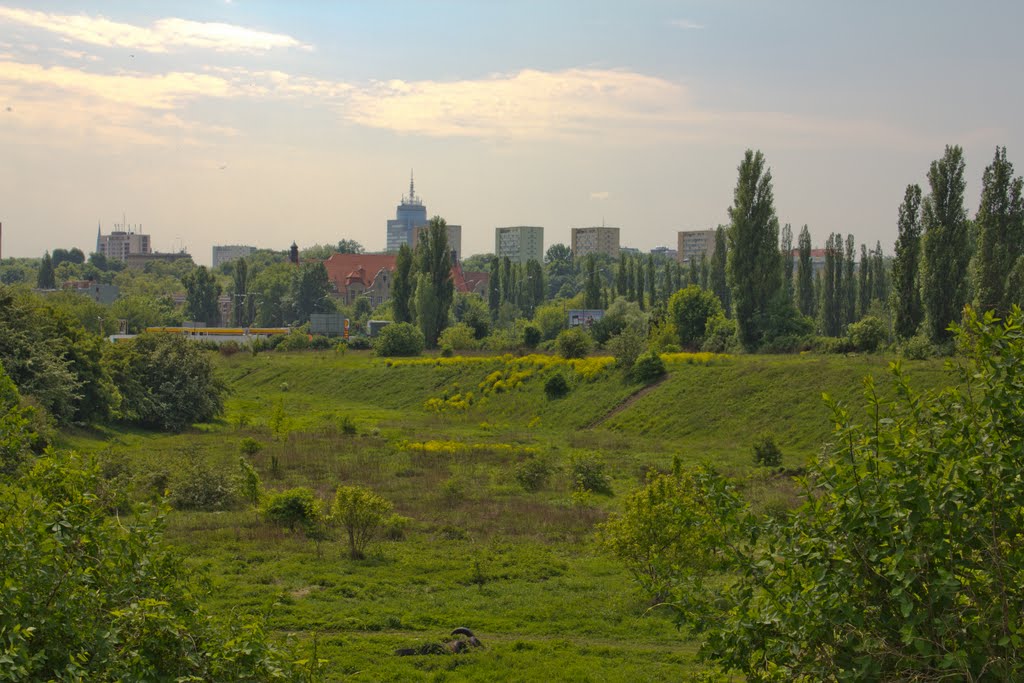 Pano Gontynka by Sebastian Barejsza