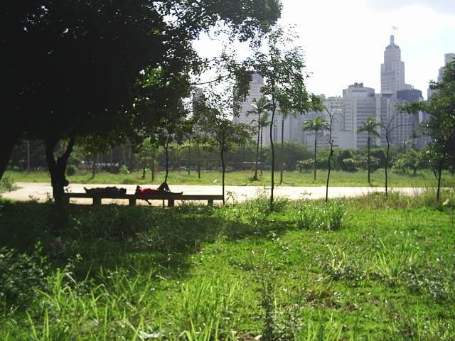 Parque Dom Pedro II – São Paulo, 2005 by Daniel Souza Lima