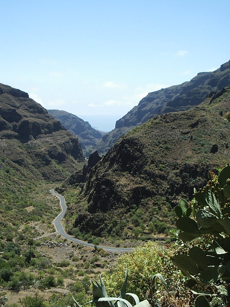 Valley by Niels Orbesen