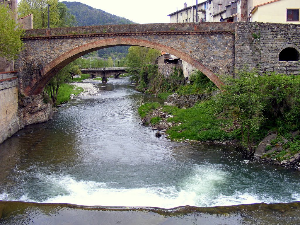 Pont del Raval y el rio Fresser a su paso por Ripoll, Girona by hilberg