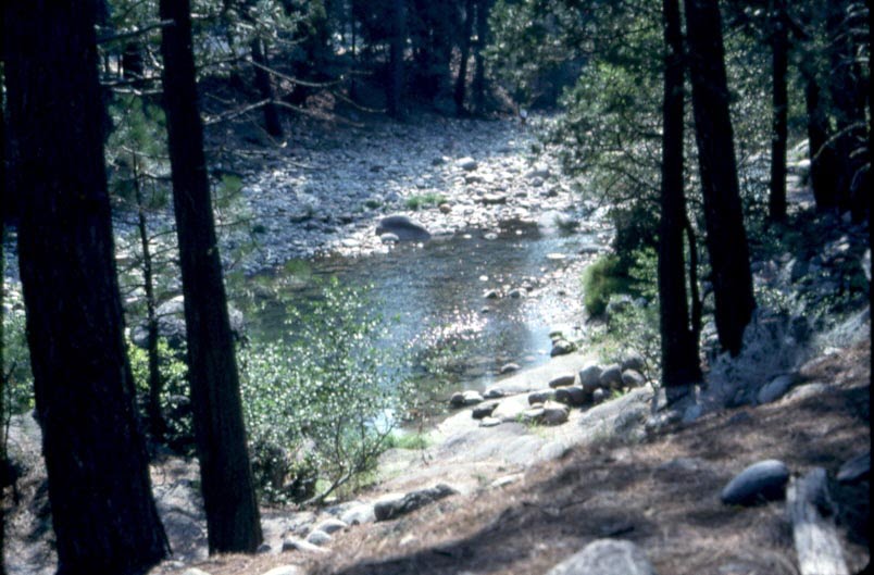 Merced River at Wawona by Zouldia